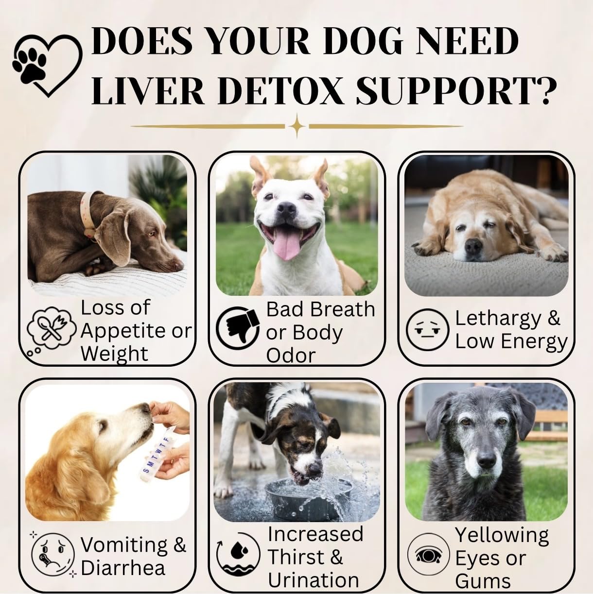 Electric Elixir liver detox chews close-up for toxin elimination support in dogs.