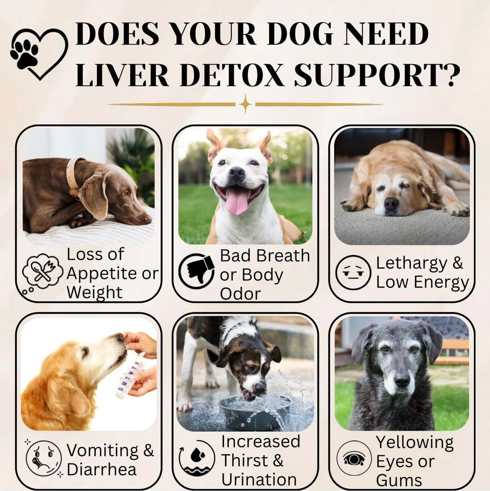 Electric Elixir liver detox chews close-up for toxin elimination support in dogs.