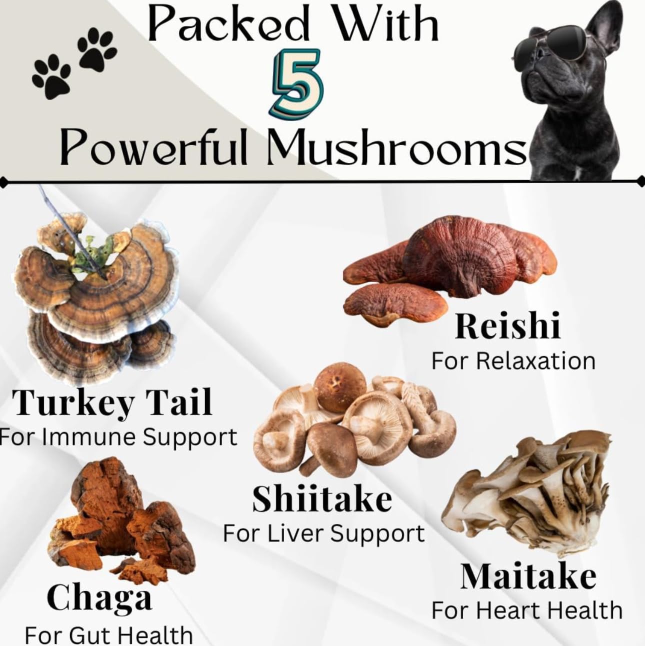 Electric Elixir mushroom blend supports digestion and gut balance for dogs.