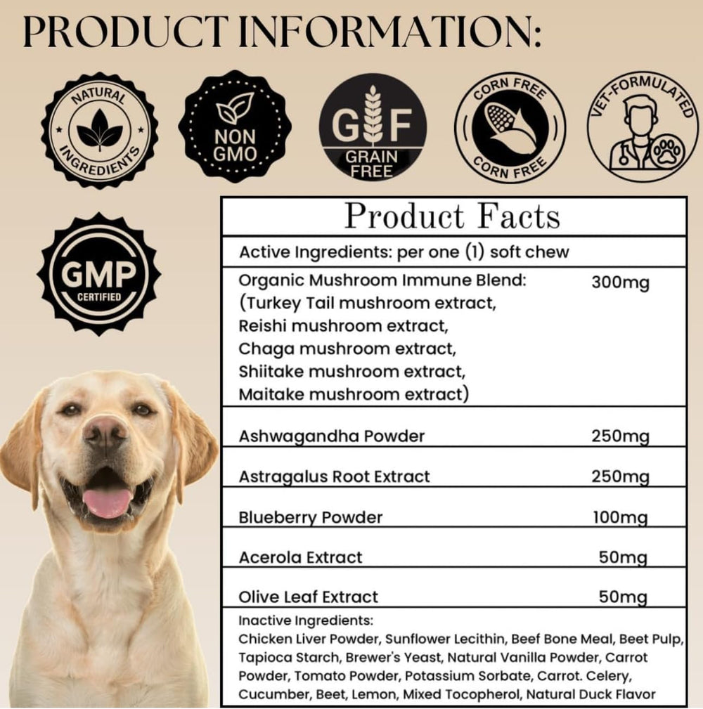 Electric Elixir organic ingredients with real mushrooms for daily canine wellness.