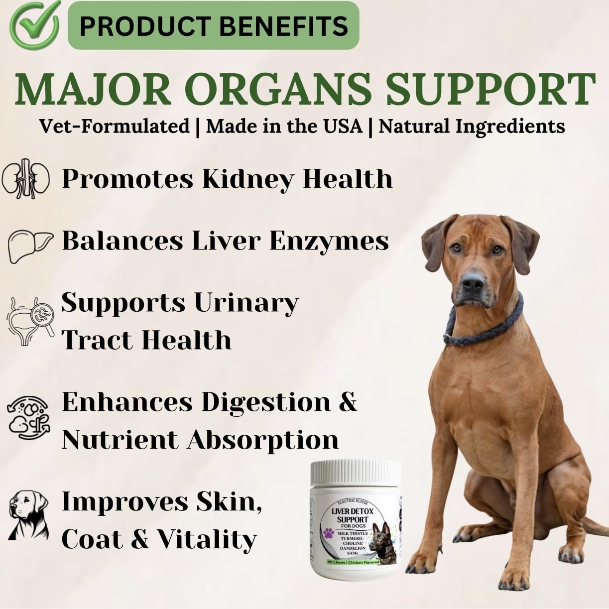 Electric Elixir SAMe turmeric blend beside a dog bowl suggests immune and metabolic support.