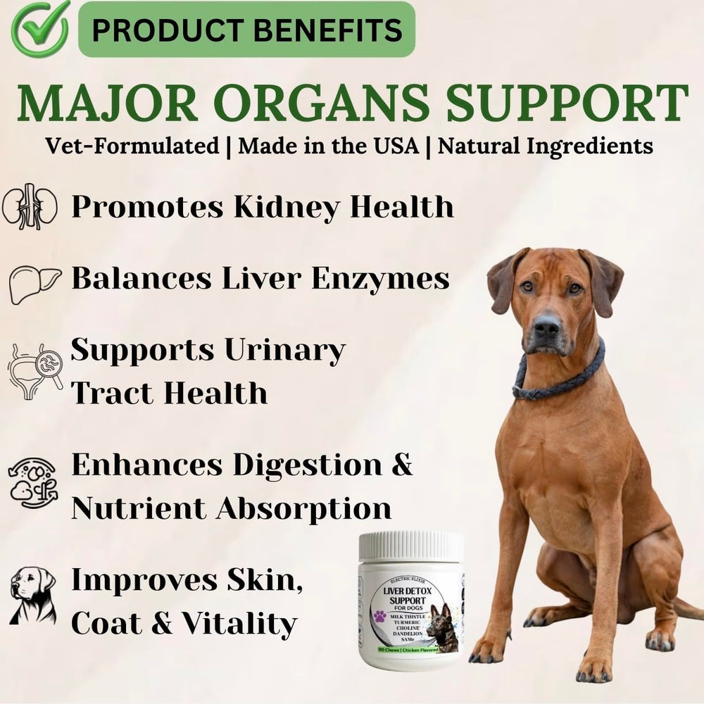 Electric Elixir SAMe turmeric blend beside a dog bowl suggests immune and metabolic support.