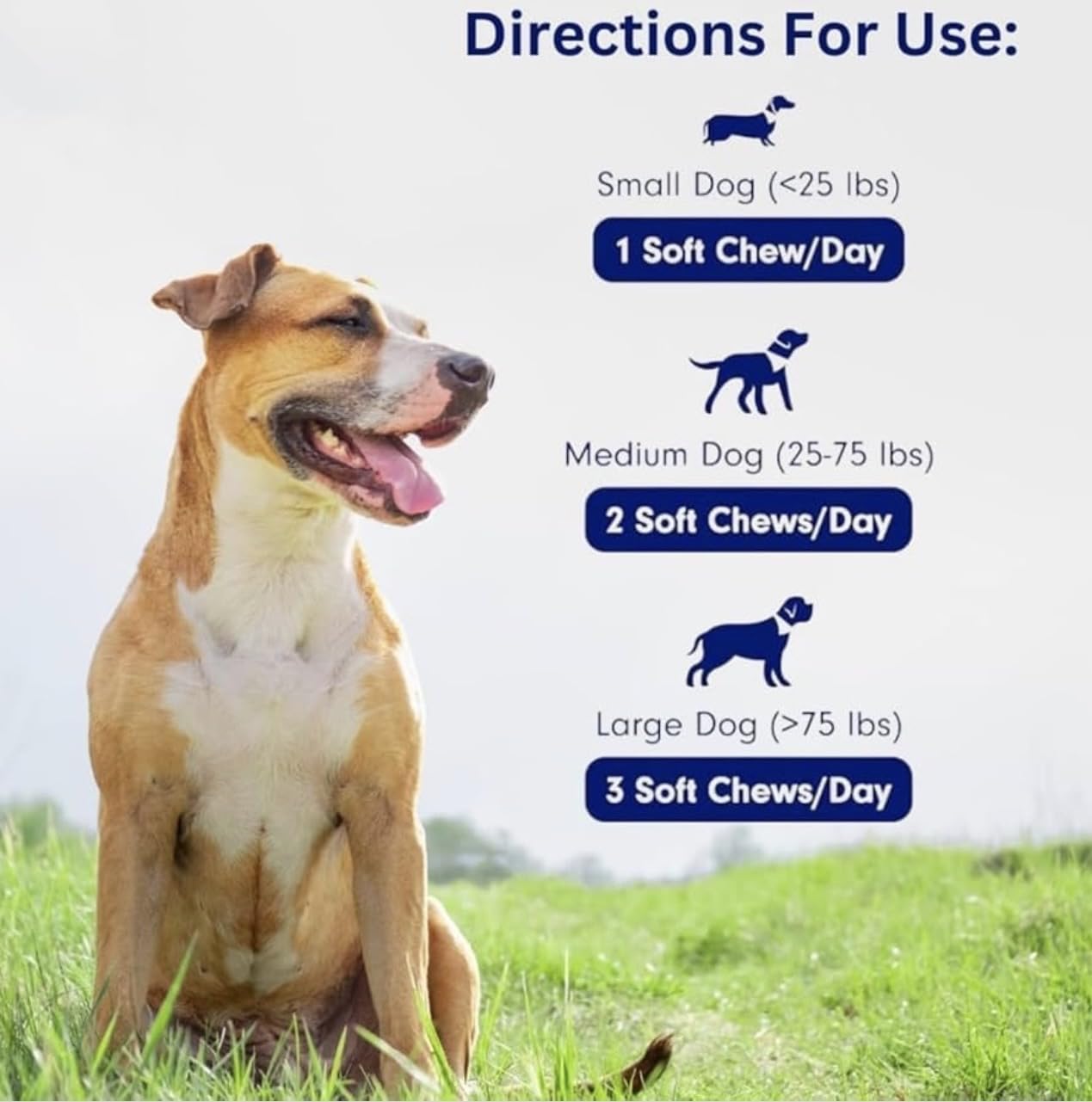 Electric Elixir soft chews suitable for all breeds, daily use.