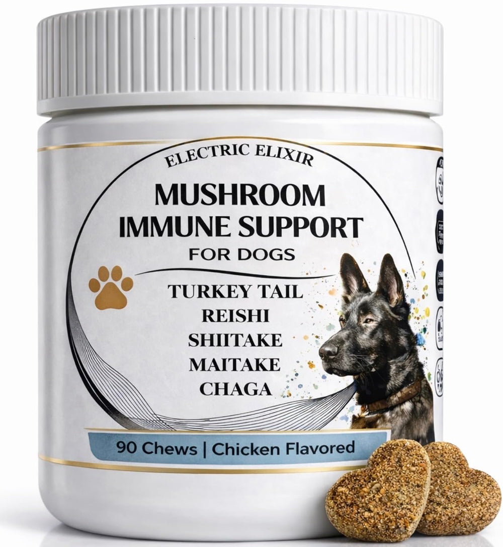 Electric Elixir Turkey Tail immune chews for seasonal support and overall vitality in dogs.