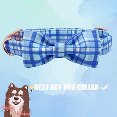 Close-up of durable stitching on Elegant little tail blue plaid collar.