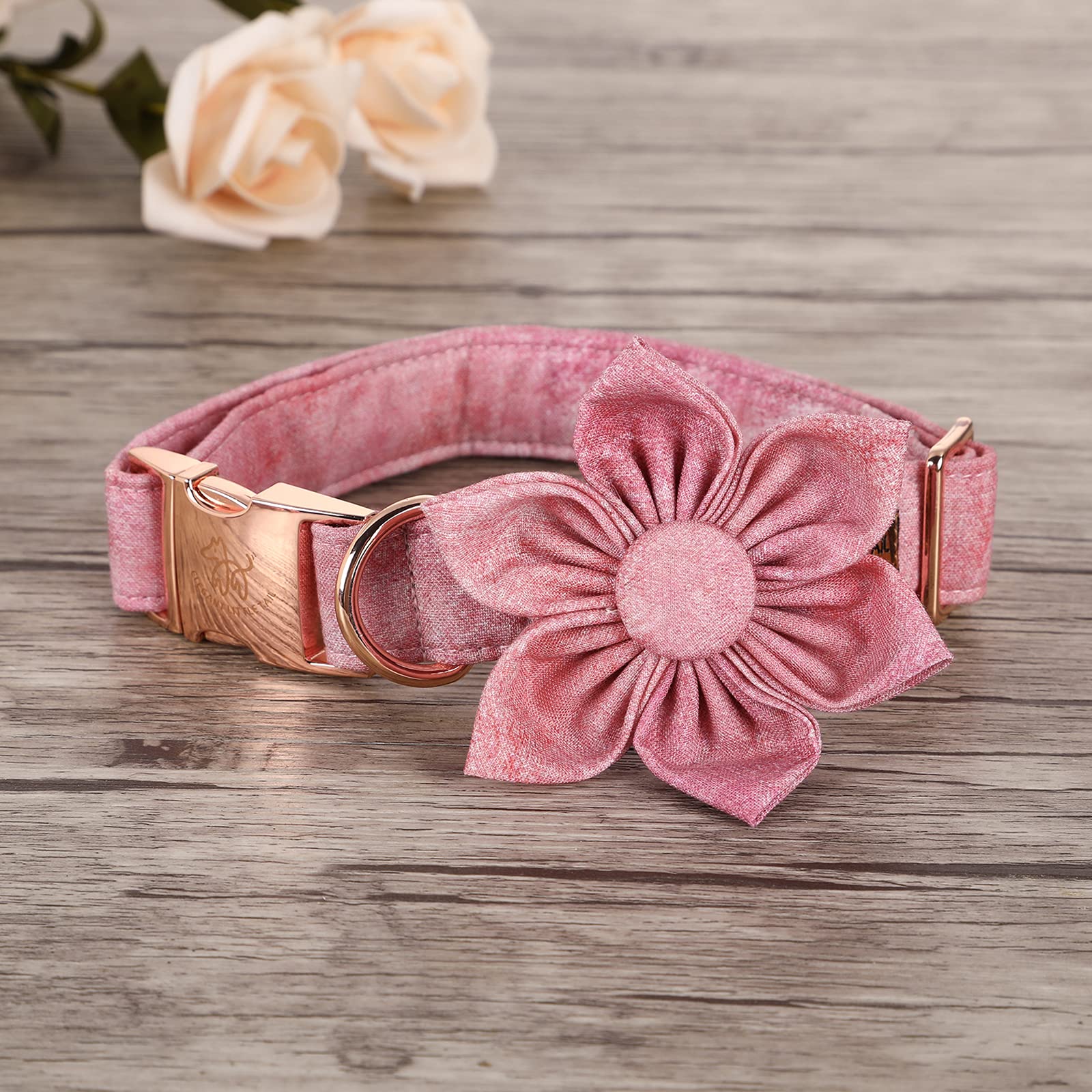 Elegant little tail adjustable collar ensures a comfortable neck fit for medium dogs.