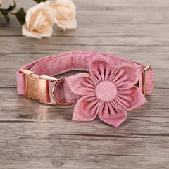 Elegant little tail adjustable collar ensures a comfortable neck fit for medium dogs.