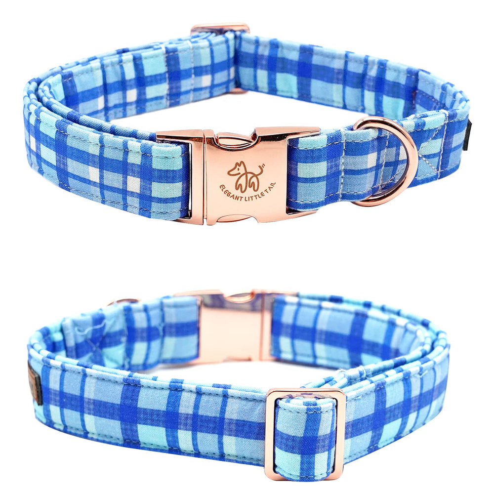 Welded D-ring and sturdy buckle on Elegant little tail collar.