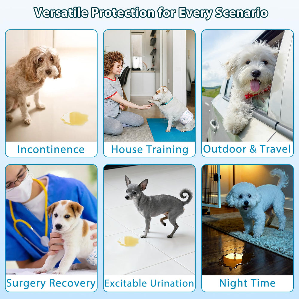 ELEGX size guidance helps buyers pick the right fit for small dogs.