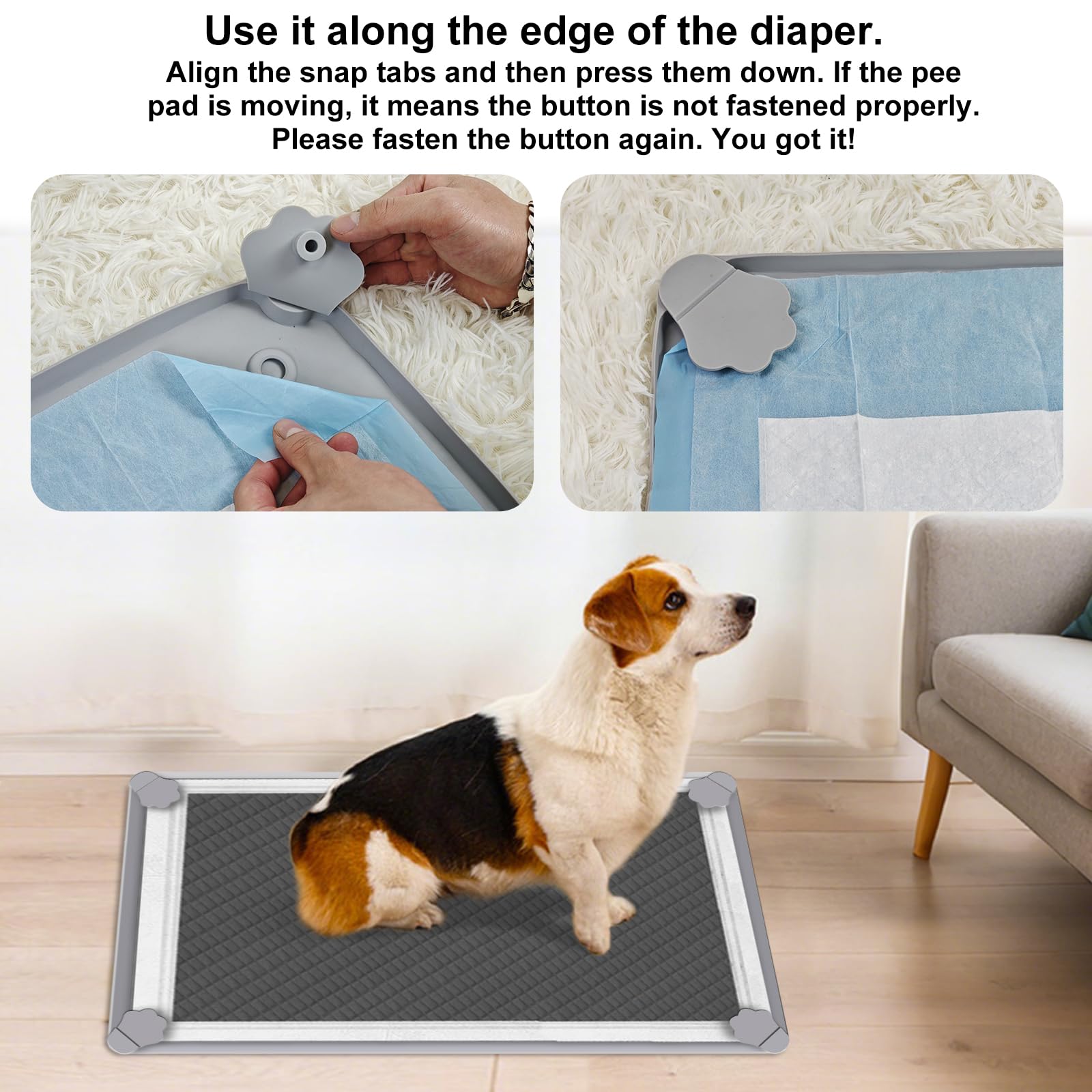 ELEGX easy-clean tray; wipe or rinse for quick refresh.