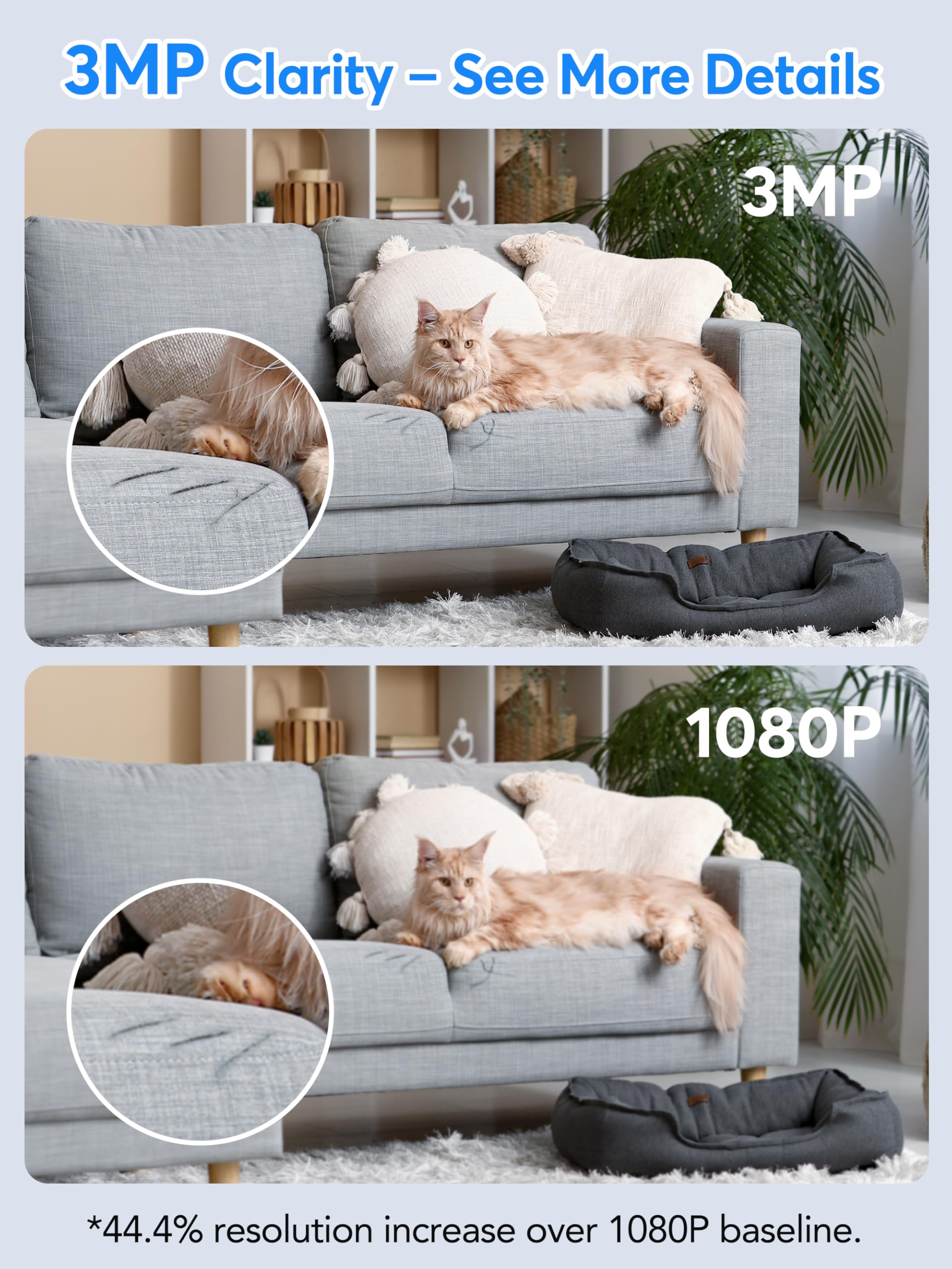 Elelink Motion Detection with real-time alerts keeps you informed when activity occurs.