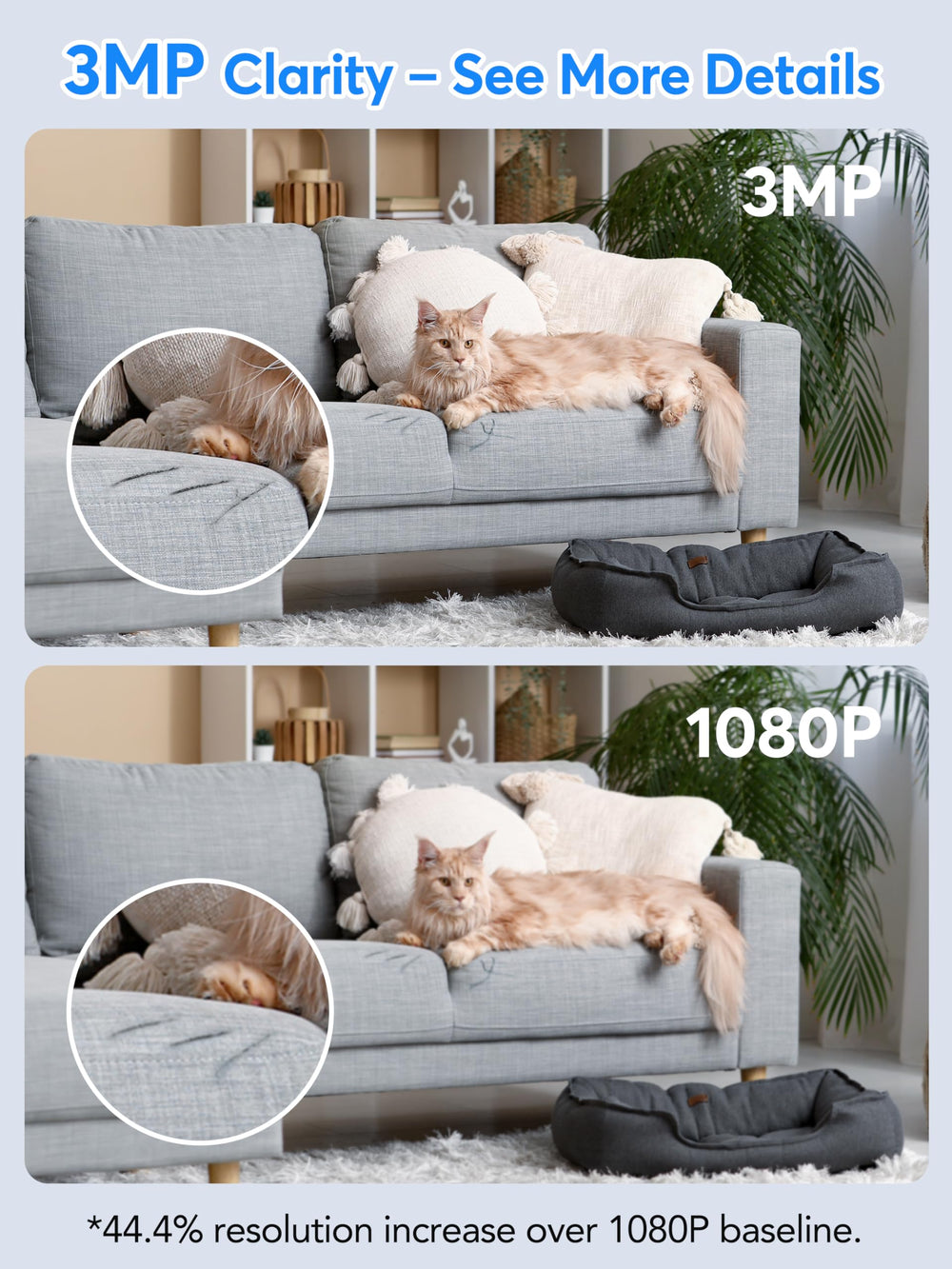 Elelink Motion Detection with real-time alerts keeps you informed when activity occurs.
