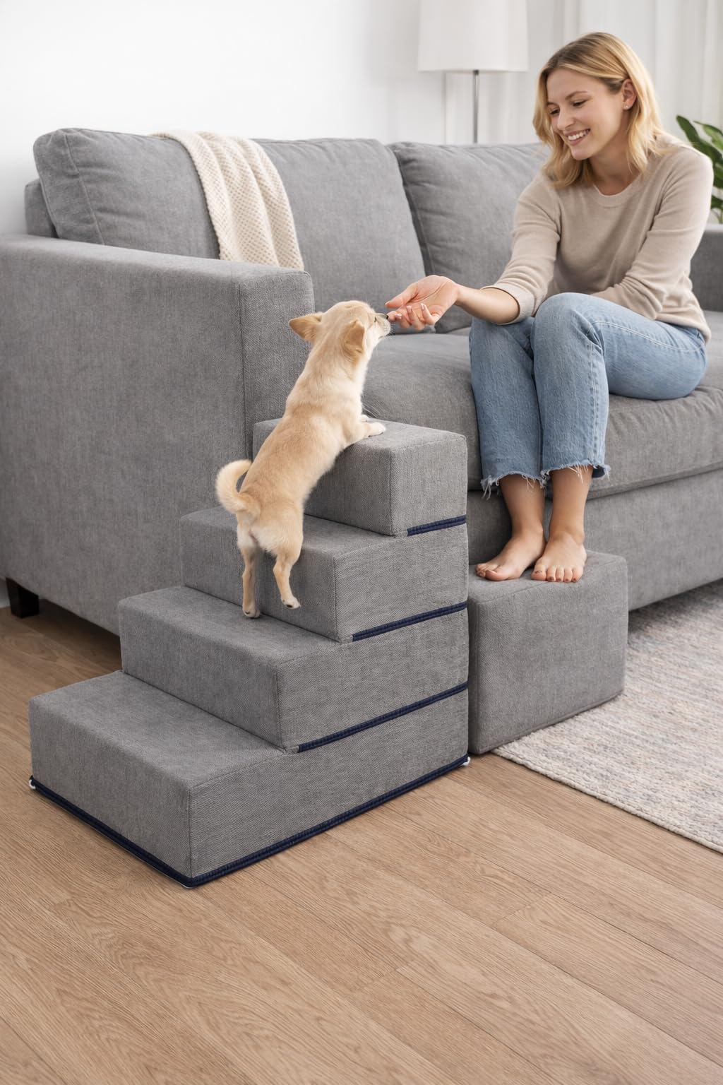 Elevon dog stairs in use on bed and couch for easy pet access
