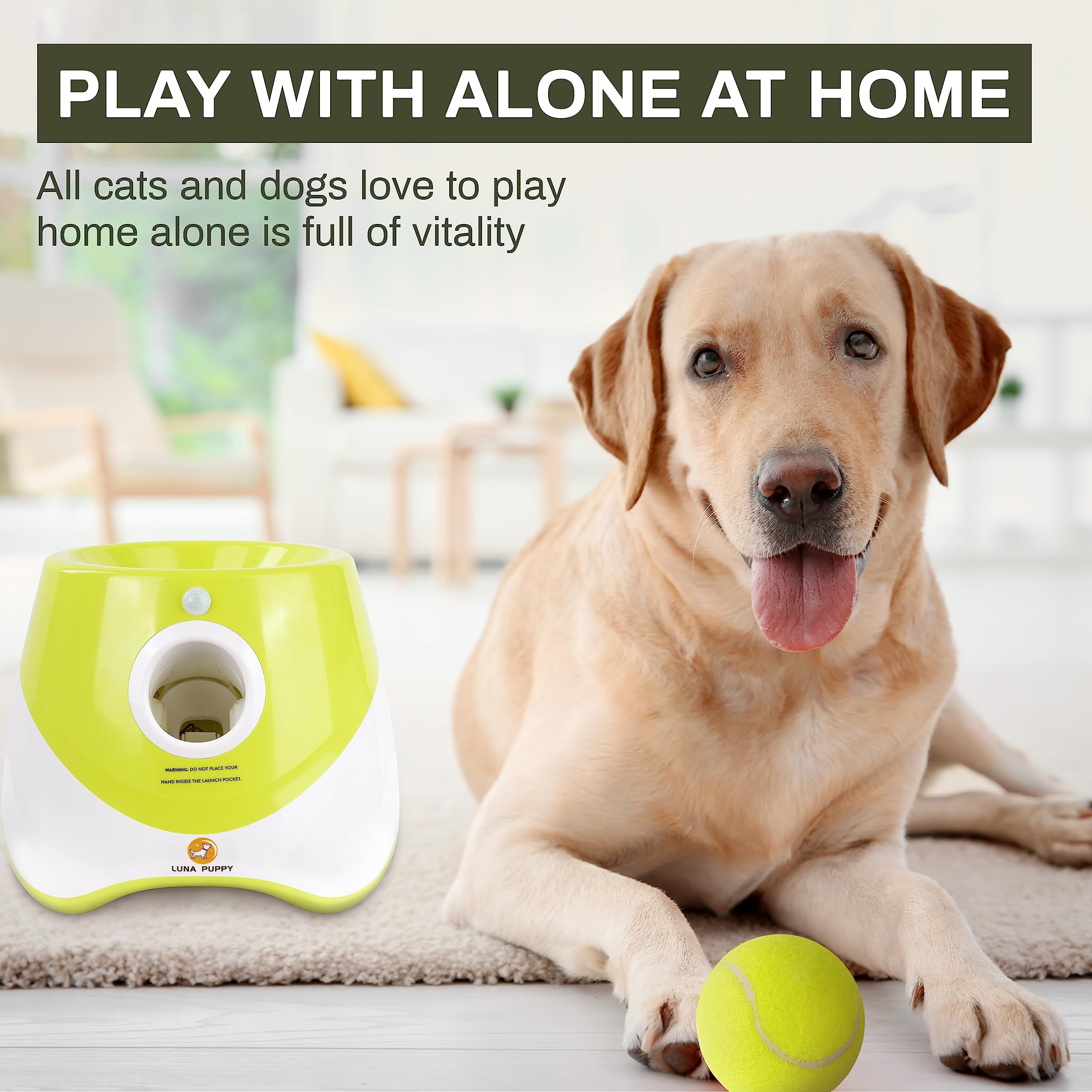 Small and medium dogs enjoying Elevon play in a yard or living room