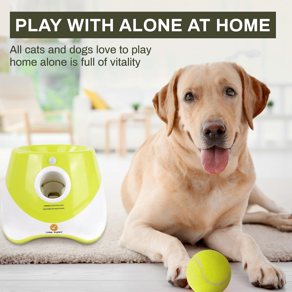 Small and medium dogs enjoying Elevon play in a yard or living room