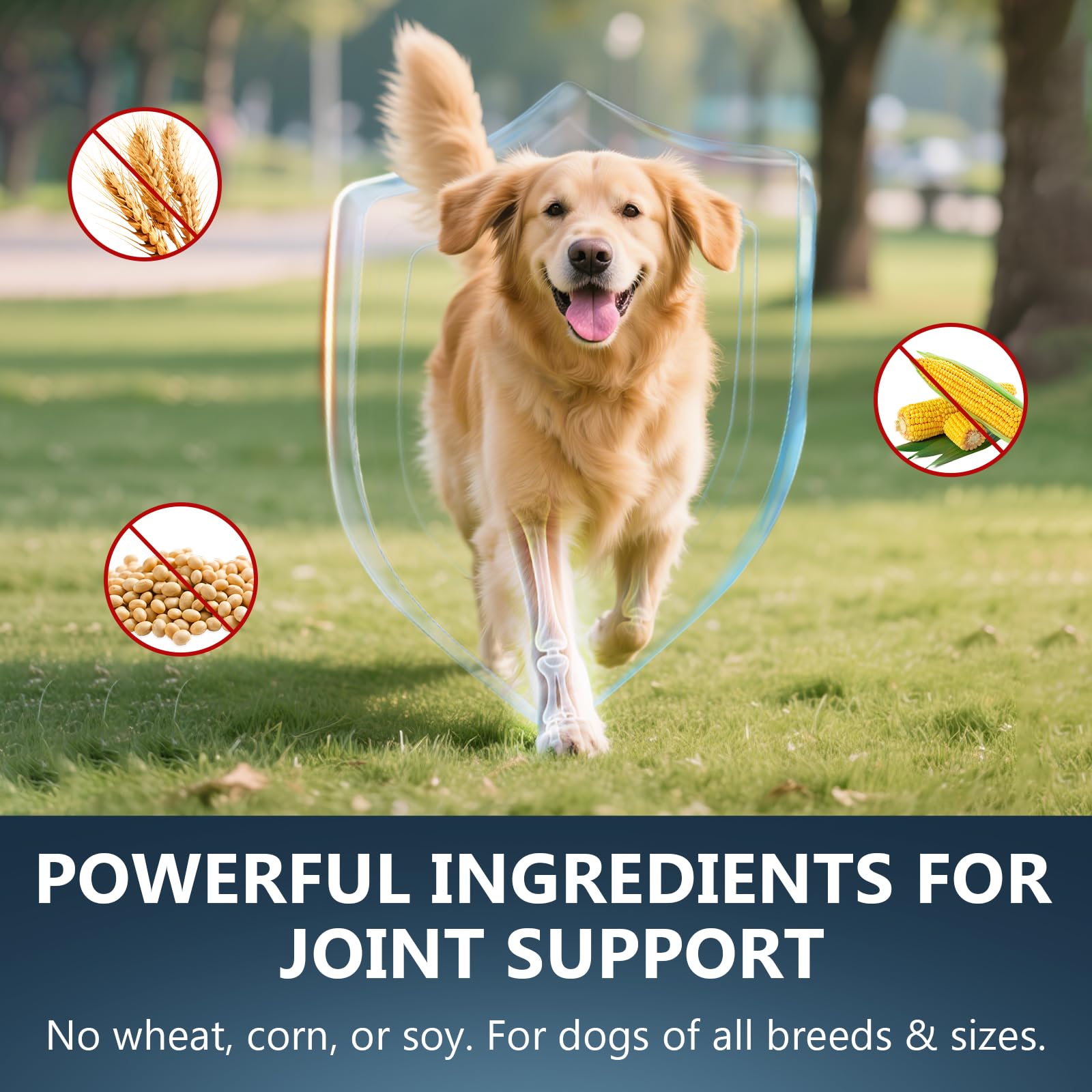 ELEVTC Glucosamine for Dogs ingredients blend of glucosamine, MSM, and chondroitin
