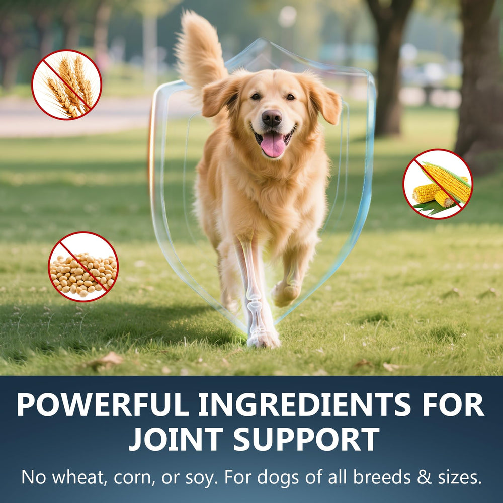 ELEVTC Glucosamine for Dogs ingredients blend of glucosamine, MSM, and chondroitin