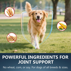 ELEVTC Glucosamine for Dogs ingredients blend of glucosamine, MSM, and chondroitin