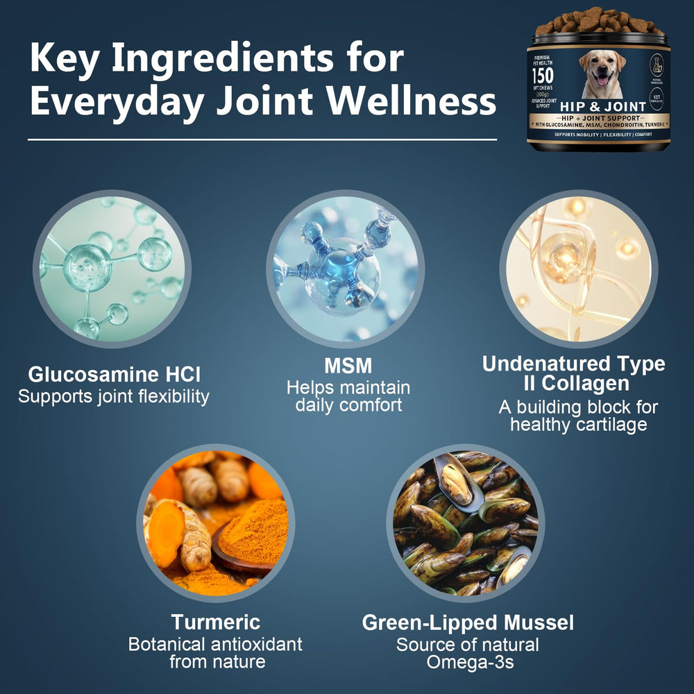 ELEVTC Glucosamine for Dogs vet-formulated label highlights high-quality ingredients