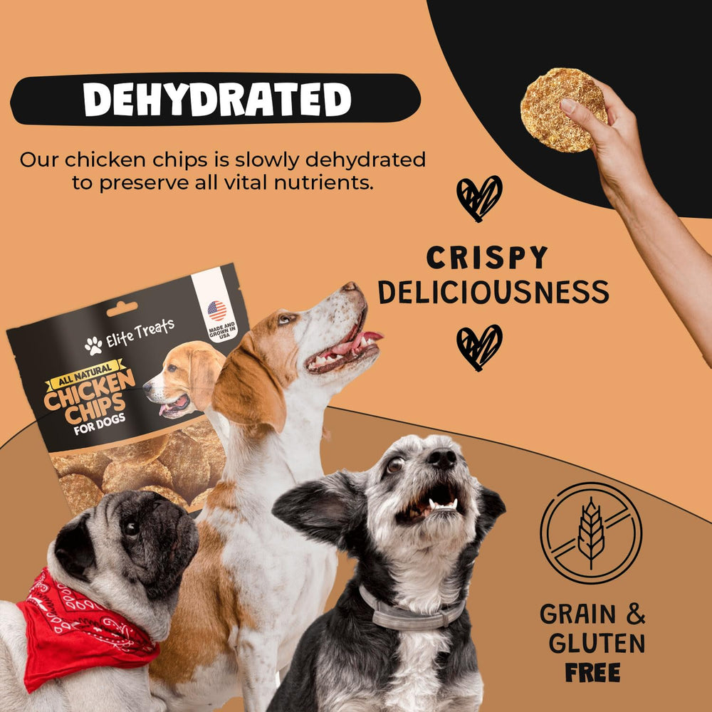 Dog enjoying Elite Treats Chicken Chips during a training session.