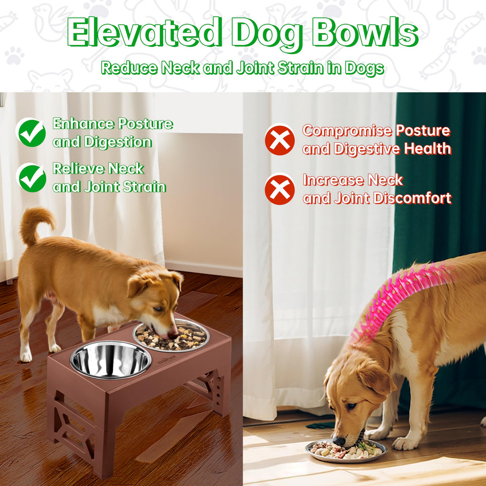 EliteField height settings support comfortable meals for dogs of all sizes.