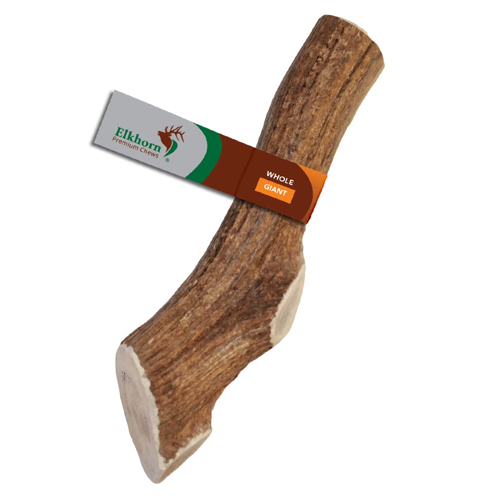 Elkhorn Premium Chews giant elk antler dog chew for long-lasting entertainment.