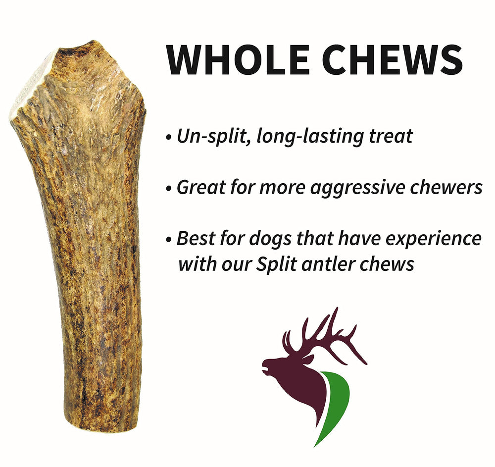 Elkhorn Premium Chews hand-cut elk antler, no odor.