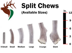 Elkhorn Premium Chews hand-cut and smoothed edges to reduce sharpness during chewing.
