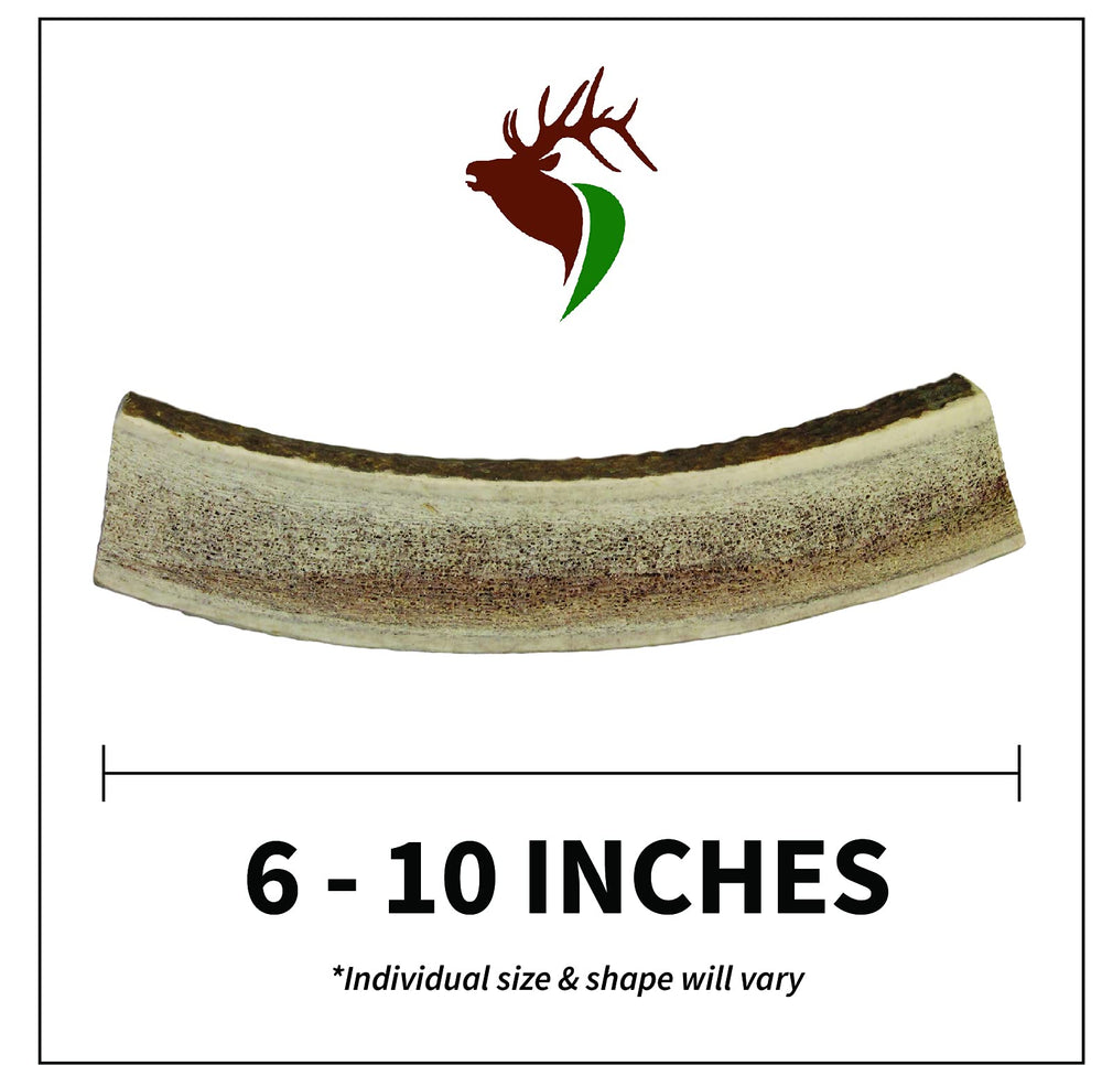 Elkhorn Premium Chews inner marrow split elk antler, promotes long-lasting chewing sessions.