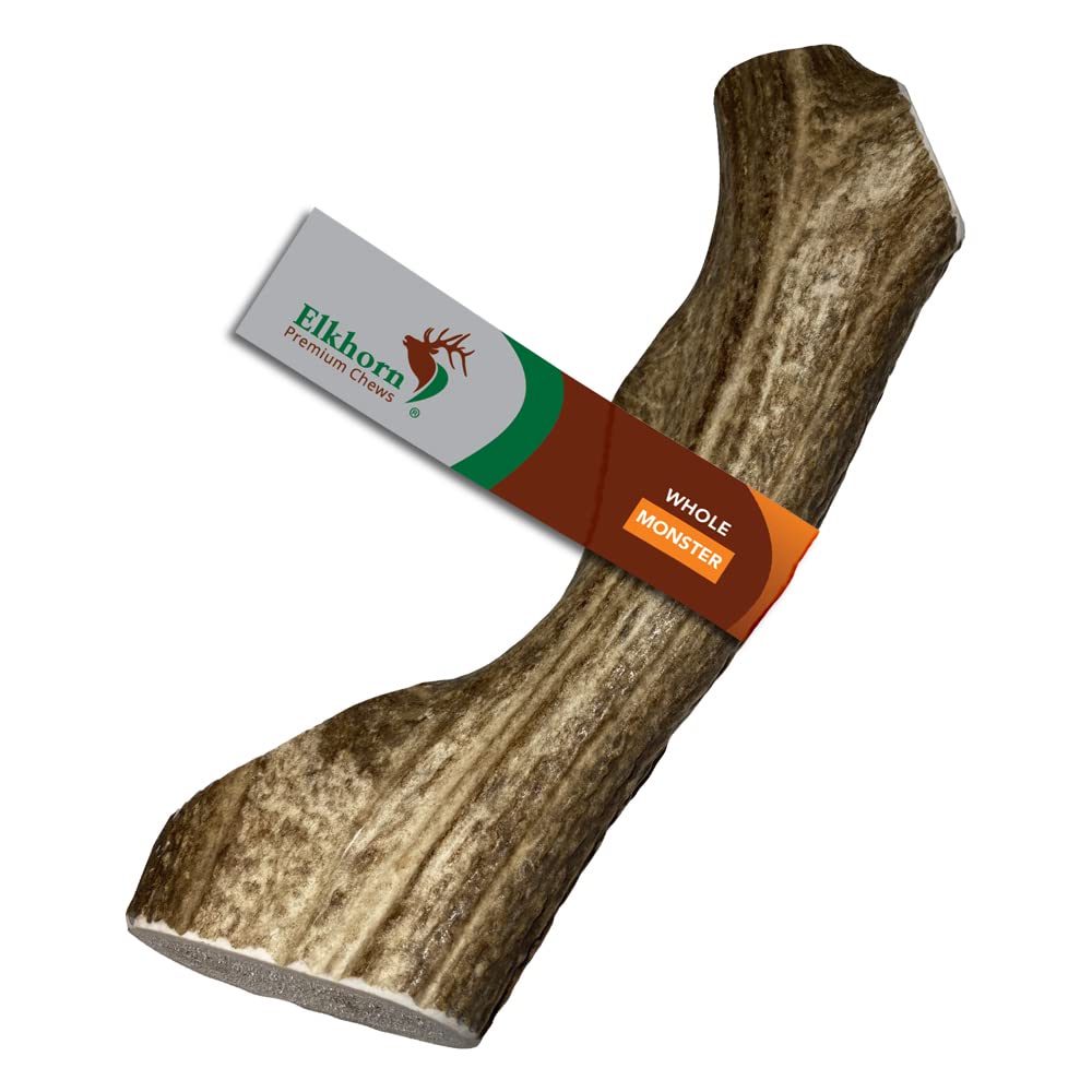 Elkhorn Premium Chews Monster elk antler for dogs; long-lasting chew for large breeds
