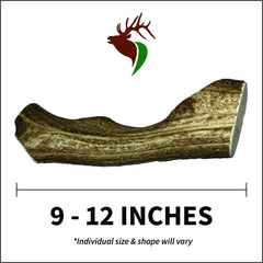 Elkhorn Premium Chews Monster elk antler for dogs; hand-cut with smooth edges for safety