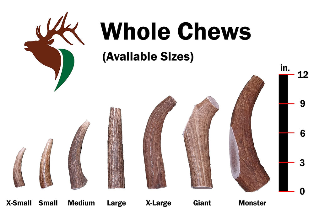 Elkhorn Premium Chews Monster elk antler for dogs; sized for 90+ lb dogs 9–12 inches