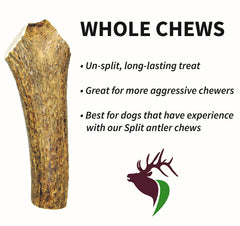 Elkhorn Premium Chews natural antler texture shown for hours of chewing fun