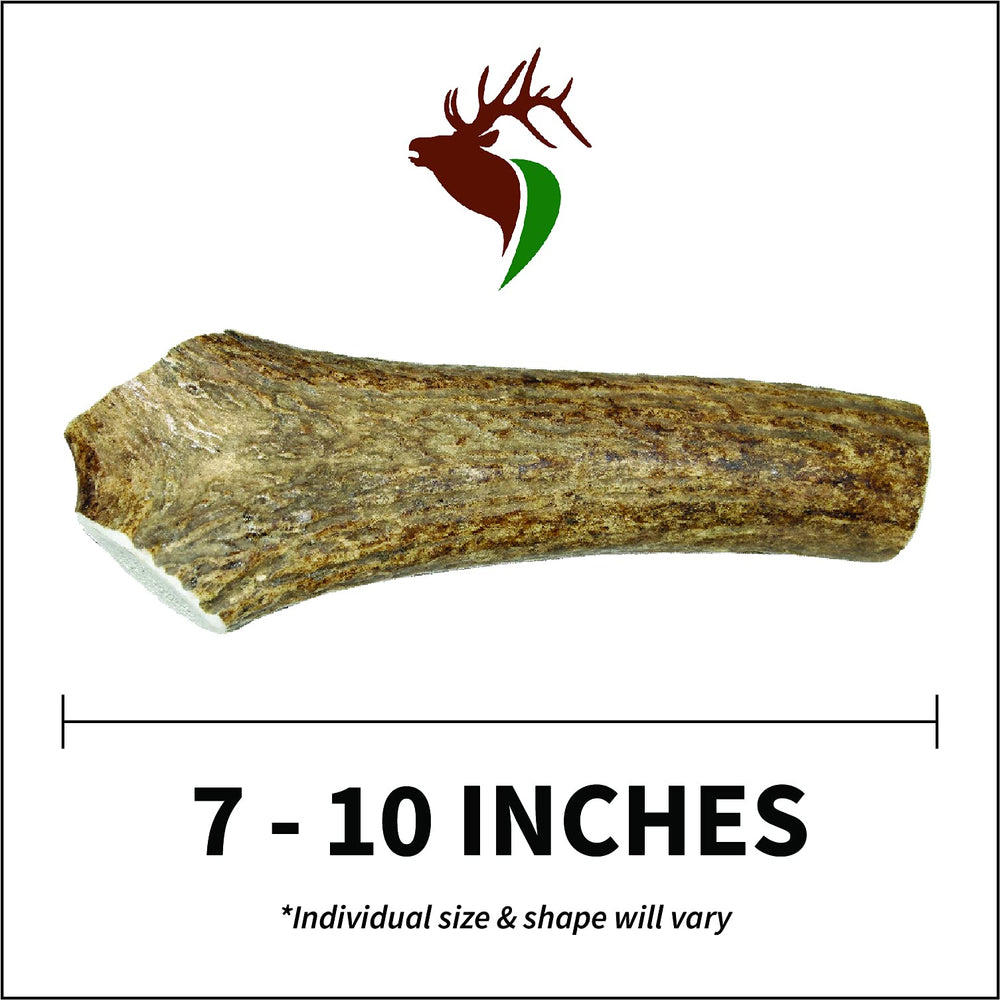 Elkhorn Premium Chews natural elk antler highlighting no mess and no odor