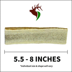 Elkhorn Premium Chews: hand-cut, smoothed edges for safe chewing.
