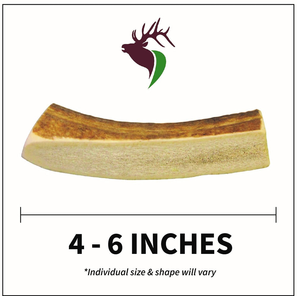 Two-piece pack shown with premium-grade elk antlers for gentle chewers