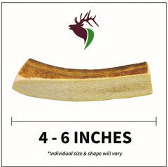 Two-piece pack shown with premium-grade elk antlers for gentle chewers