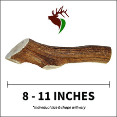 Elkhorn Premium Chews whole elk antler for 75+ lb dogs, no mess.