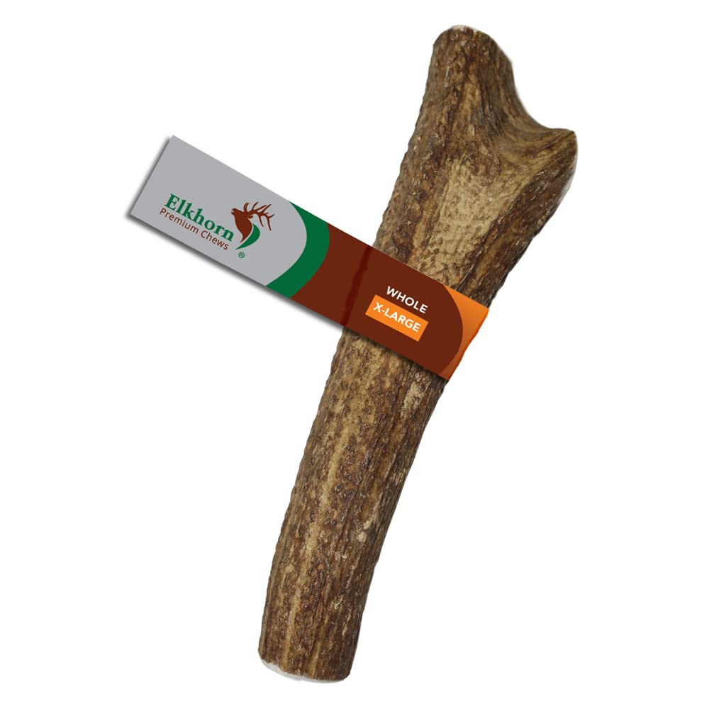 Elkhorn Premium Chews X Large whole antler close up texture for durable chewing