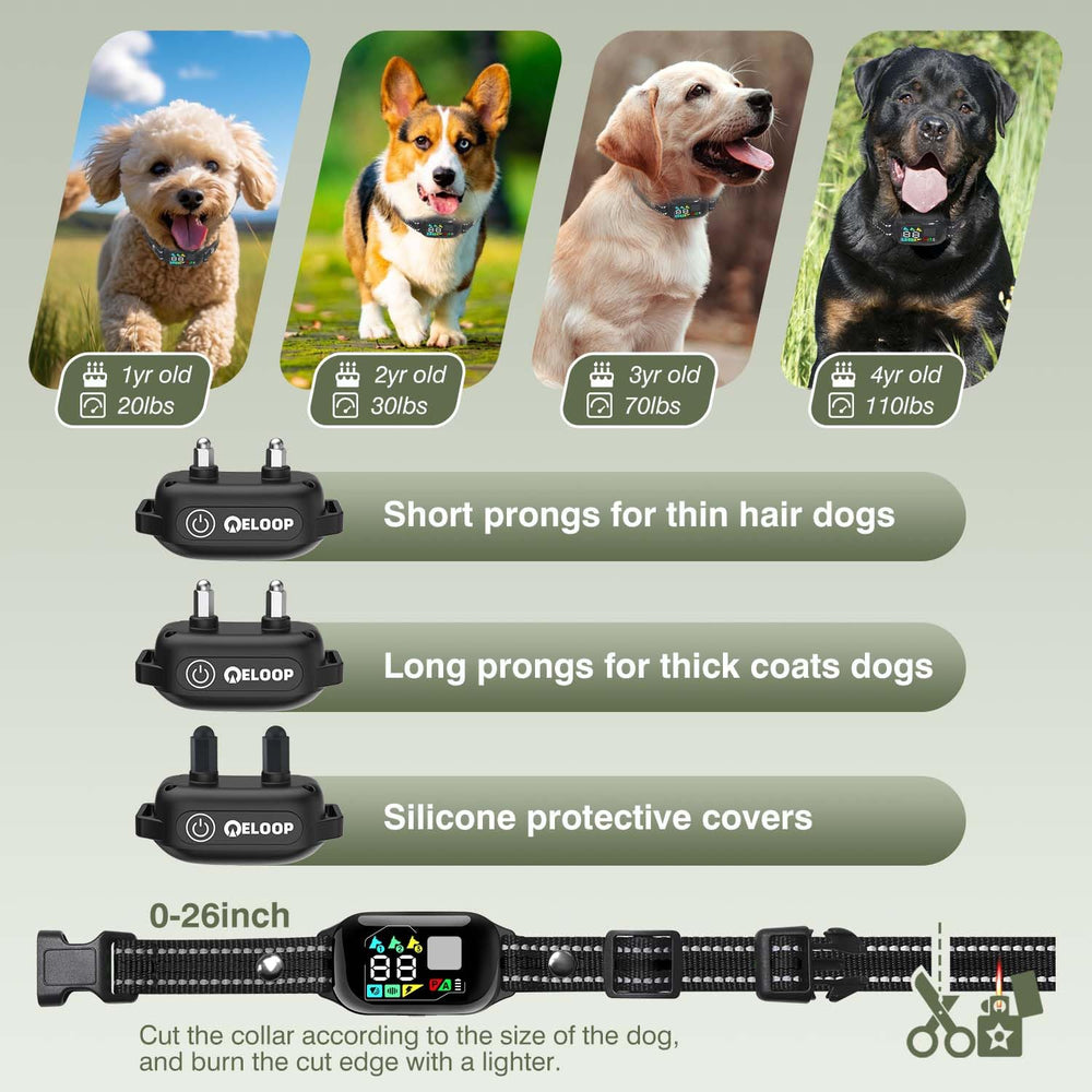 ELOOP long-lasting battery life on remote and collar