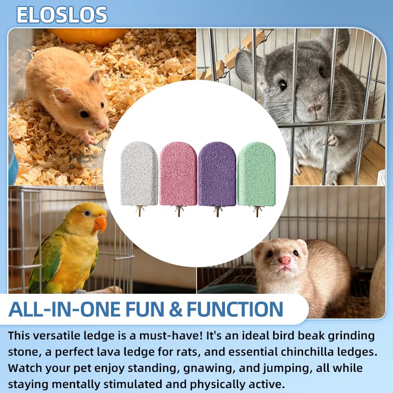 Eloslos lava ledge cyan color boosts cage engagement during play.