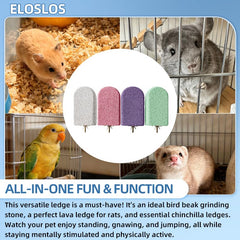 Eloslos lava ledge cyan color boosts cage engagement during play.