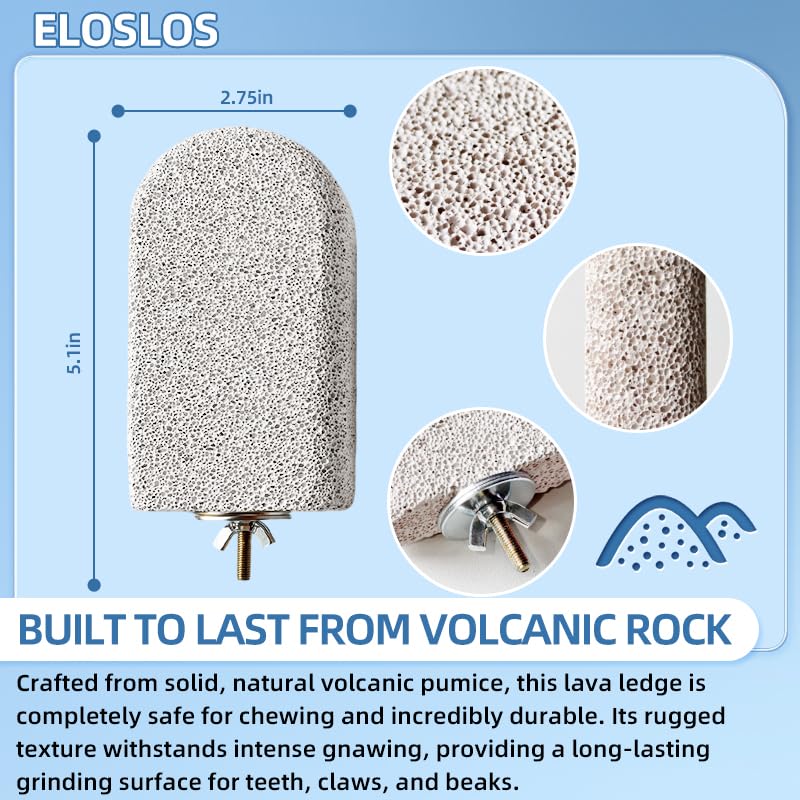 Eloslos lava ledge chinchilla use supports natural gnawing behavior.