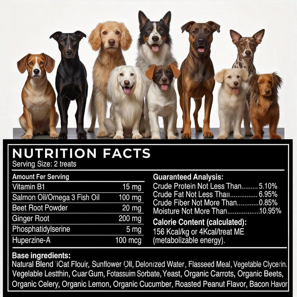 ELSORY Furever Active dog enjoying chew during playtime highlighting ease of use.