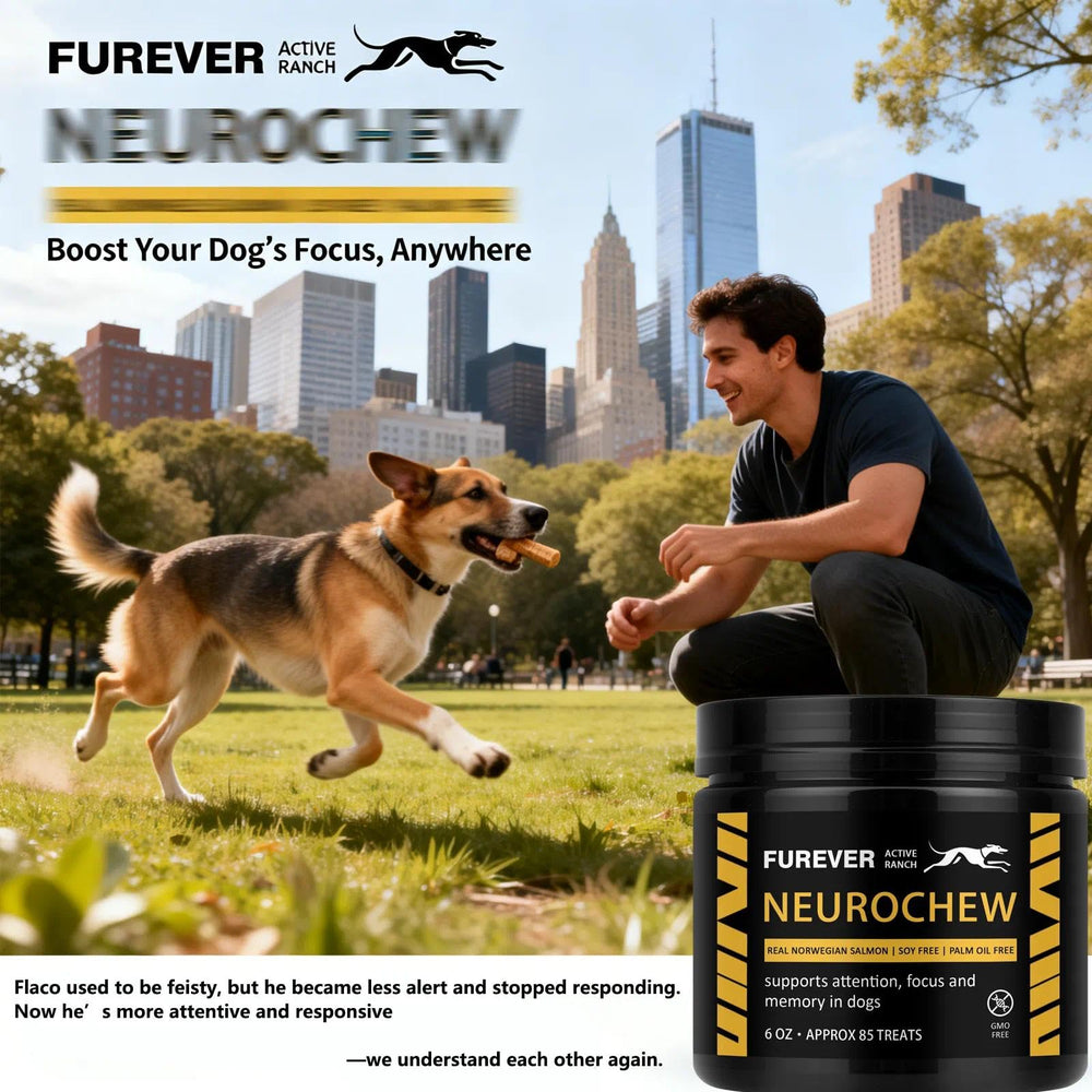ELSORY Furever Active packaging design emphasizes fresh, convenient daily supplementation.