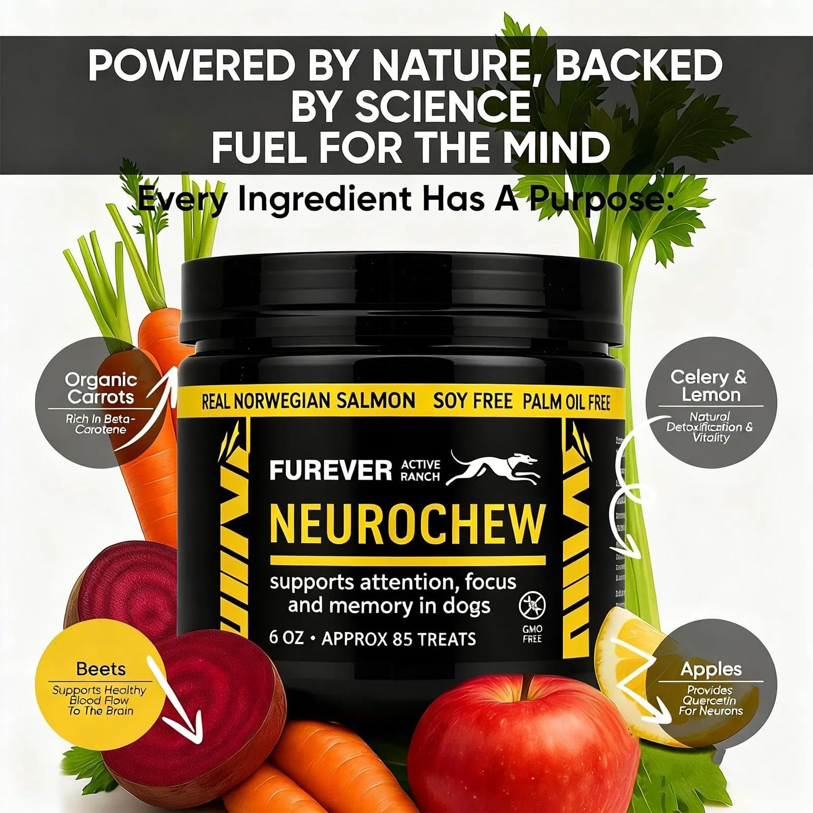 ELSORY Furever Active plant-based superfoods image highlighting nutrient-rich ingredients.