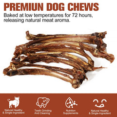Elzefeiros dog chewing beef rib bone demonstrates long-lasting entertainment