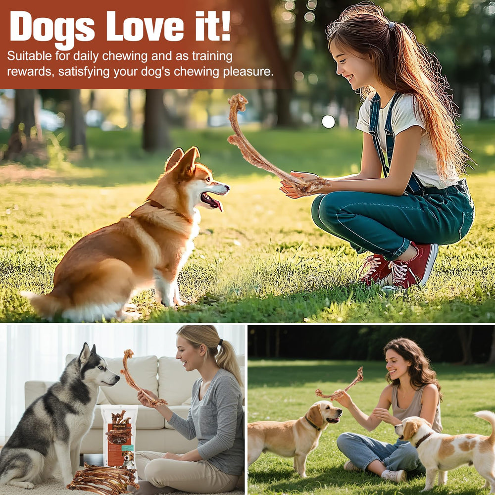 Elzefeiros dental-friendly beef rib bone chew texture supports healthier chewing