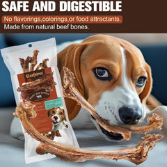 Elzefeiros rib bone chew shown for medium and large dogs