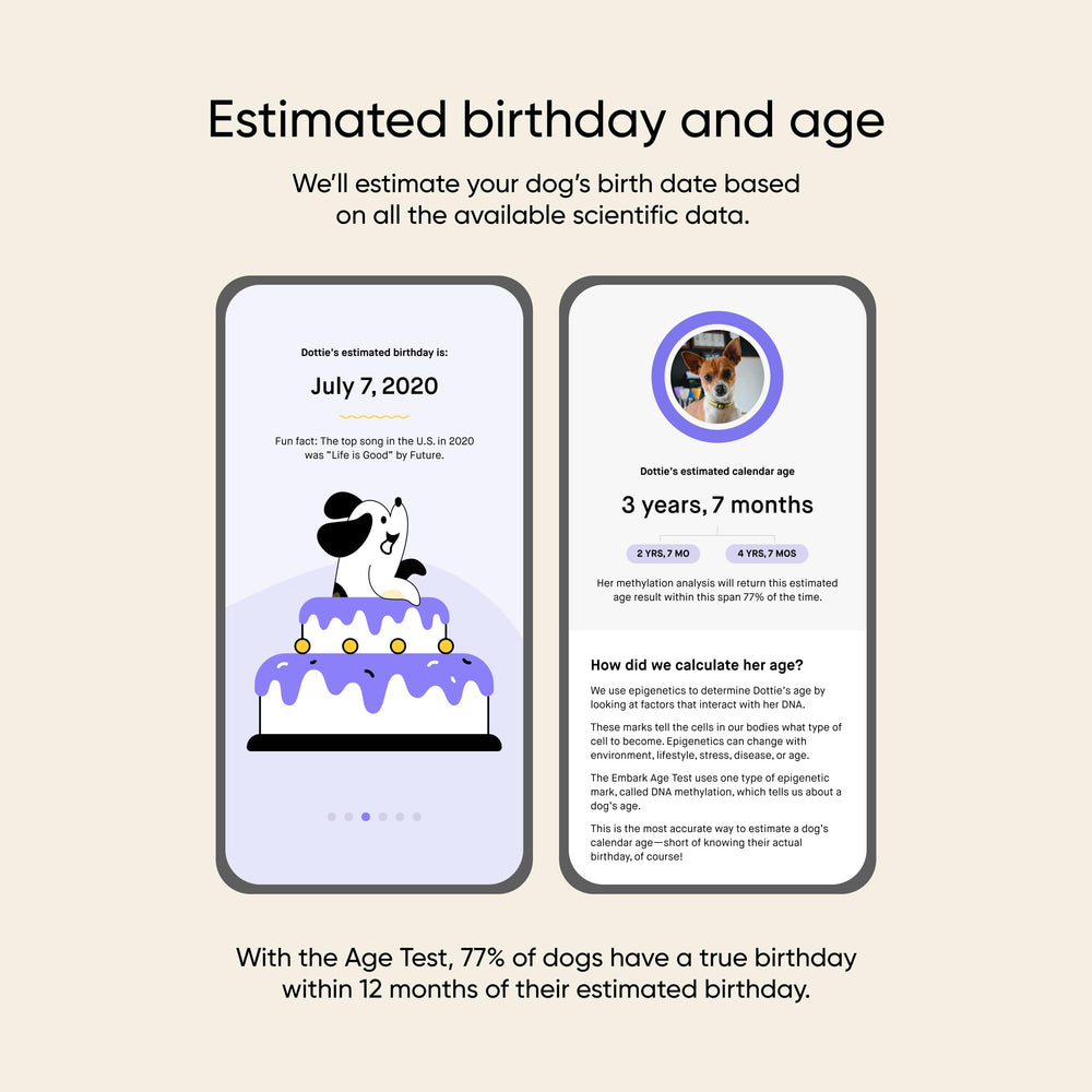 Embark Age Test Kit activation step shows easy start to results.